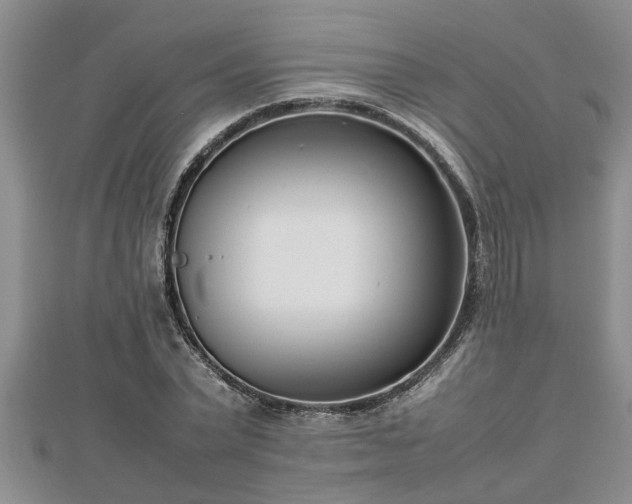 X0000112790783200908281506