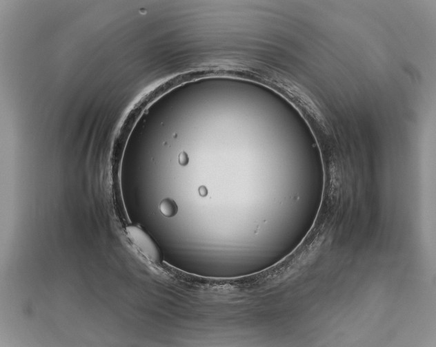 X0000112790784200908281506