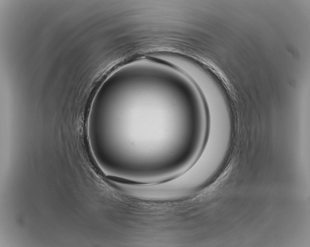 X0000112790785200908281506