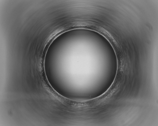 X0000112790786200908281506