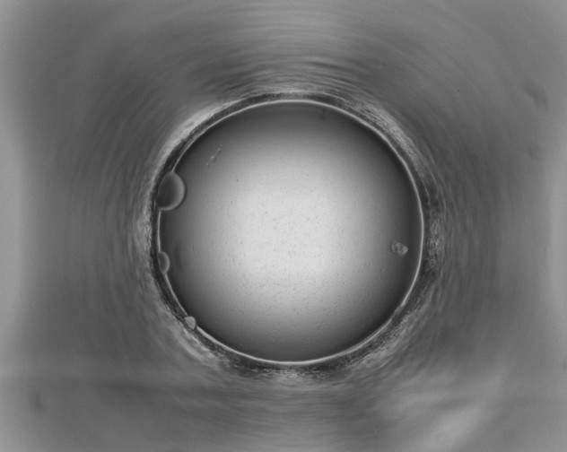 X0000112790787200908281506