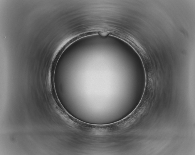 X0000112790788200908281506