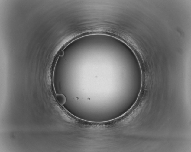 X0000112790789200908281506