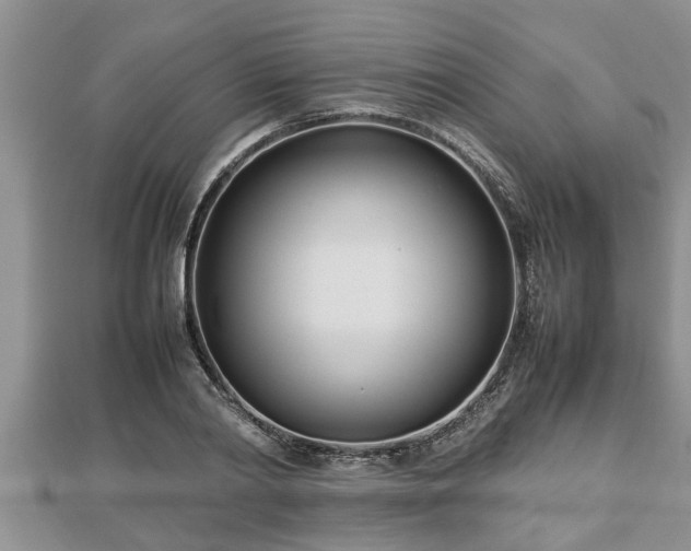 X0000112790790200908281506