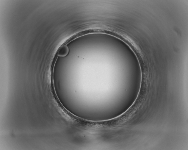 X0000112790791200908281506