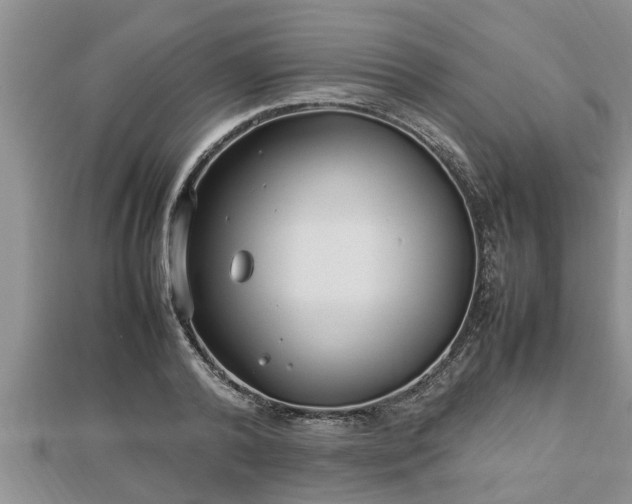 X0000112790792200908281506