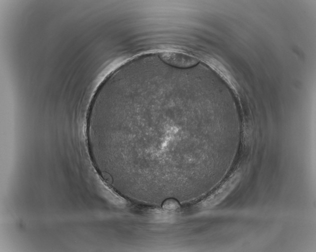 X0000112790797200908281505