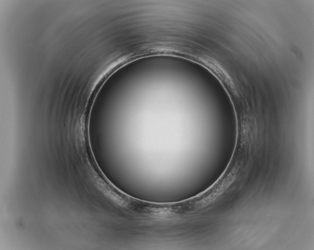 X0000112790798200908281505