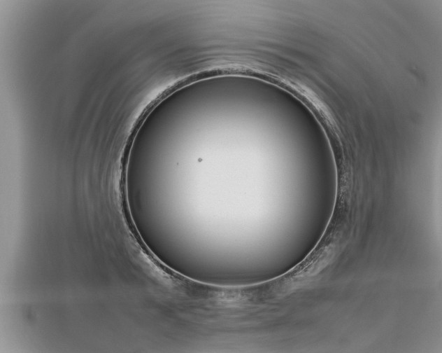 X0000112790799200908281505