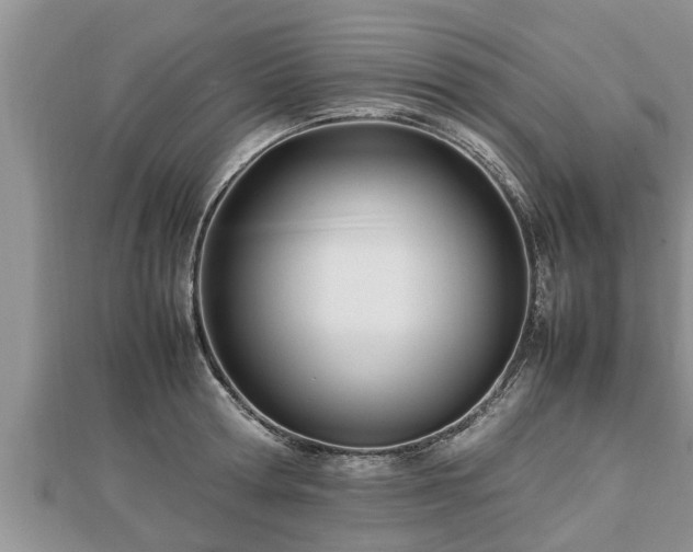 X0000112790802200908281505