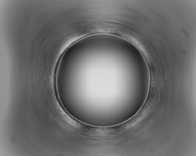 X0000112790803200908281505