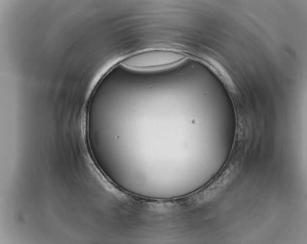 X0000112790804200908281505