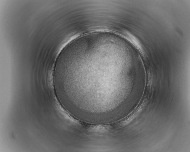 X0000112790806200908281505