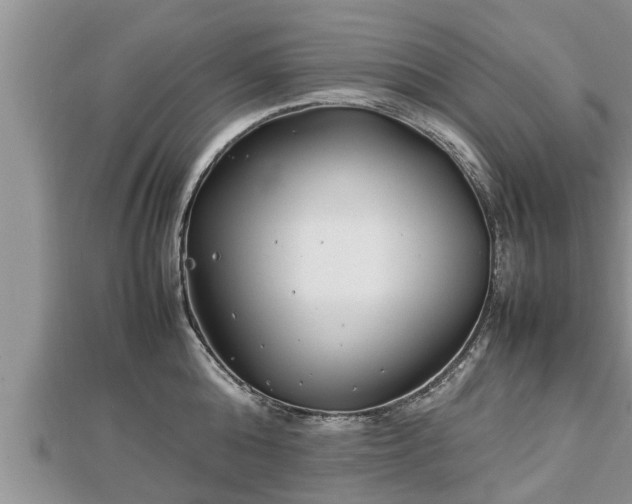 X0000112790808200908281505