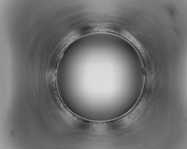 X0000112790809200908281505