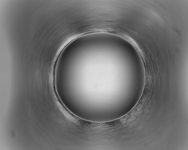 X0000112790811200908281505