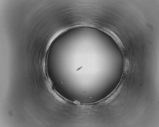 X0000112790812200908281505