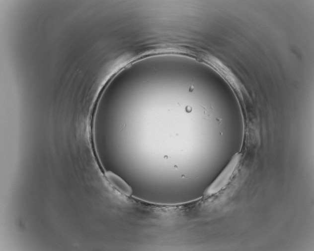 X0000112790813200908281505