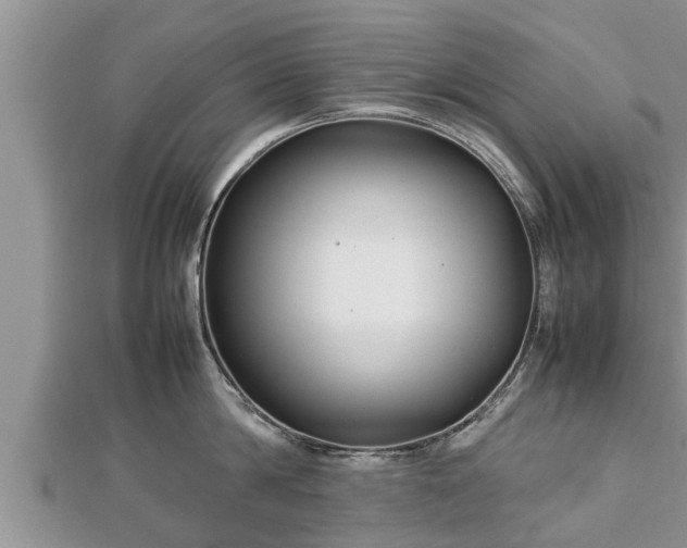 X0000112790814200908281505