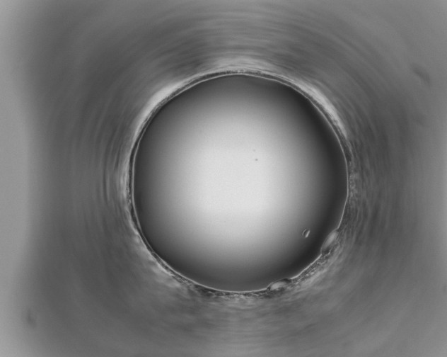 X0000112790815200908281505