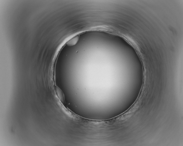 X0000112790816200908281505