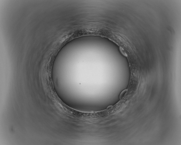 X0000112790817200908281505