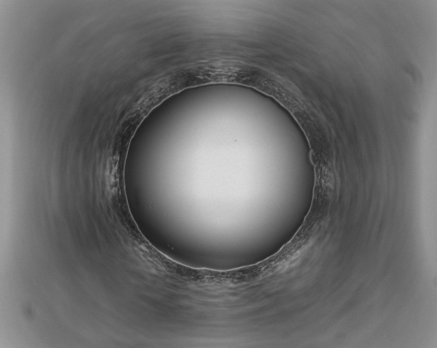 X0000112790818200908281505