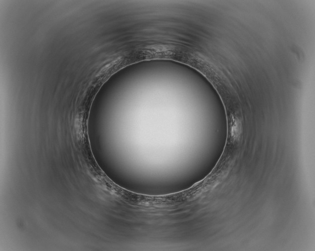 X0000112790819200908281505