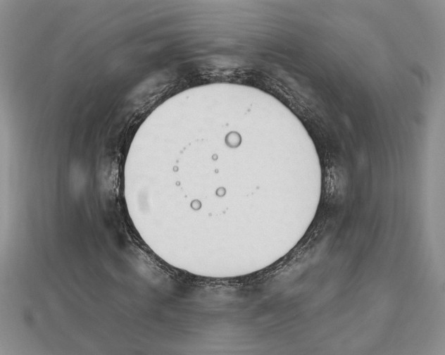 X0000112790820200908281505