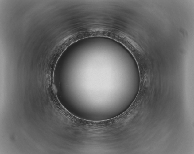 X0000112790821200908281505