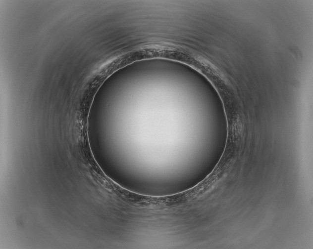 X0000112790822200908281505