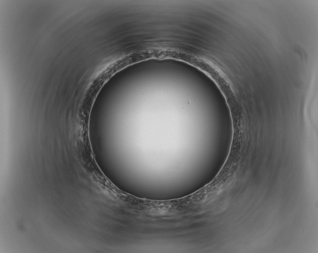 X0000112790823200908281505