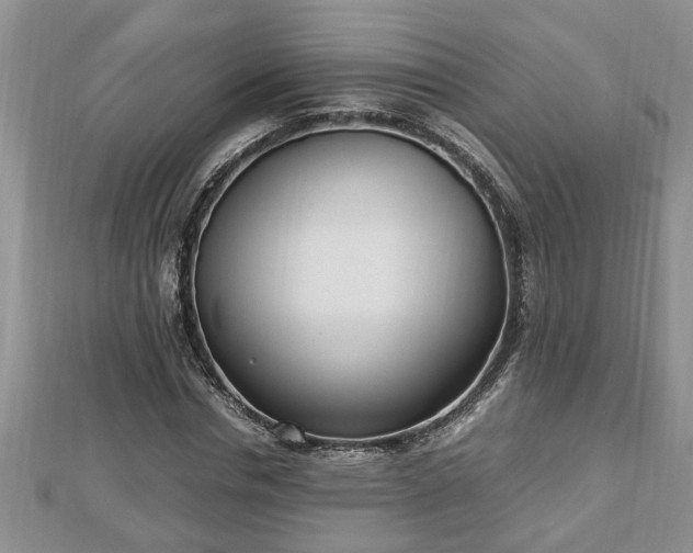 X0000112790826200908281505