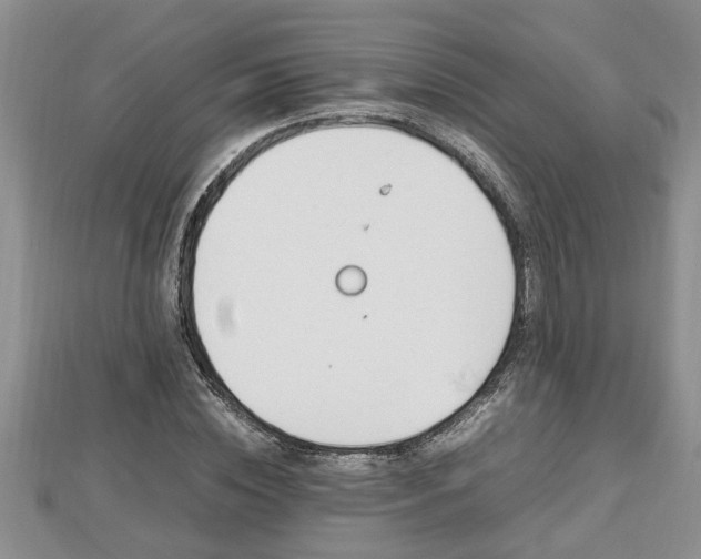 X0000112790828200908281505