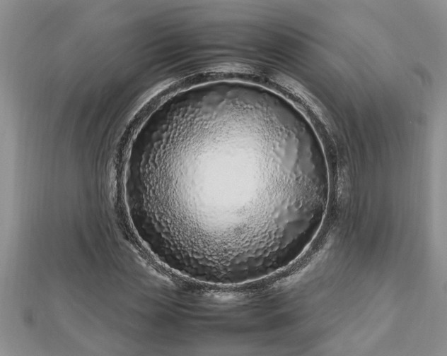 X0000112790829200908281505