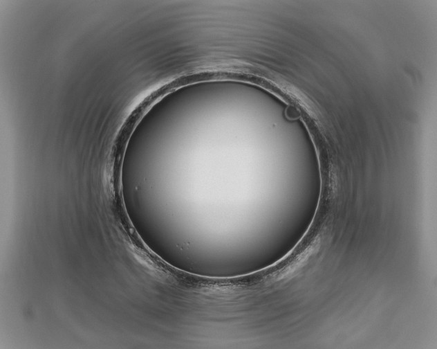 X0000112790830200908281505