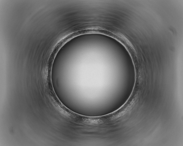 X0000112790831200908281505