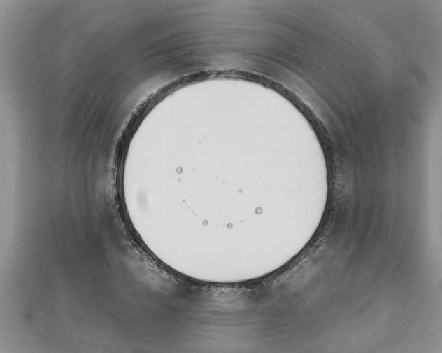 X0000112790832200908281505