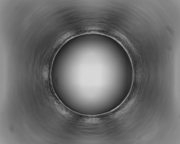 X0000112790833200908281505