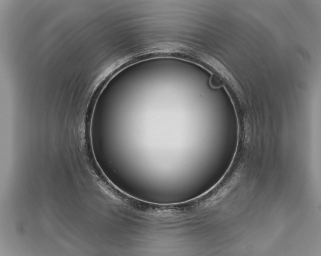 X0000112790834200908281505