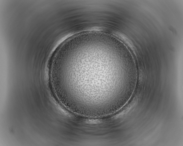 X0000112790835200908281505