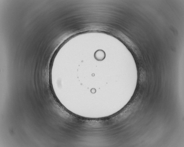 X0000112790836200908281505