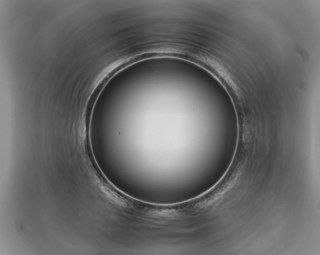 X0000112790837200908281505