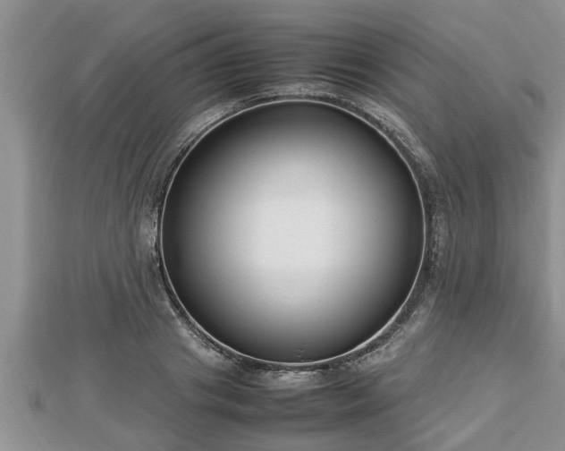 X0000112790841200908281505