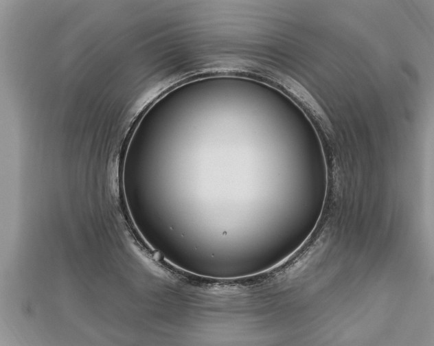 X0000112790842200908281505