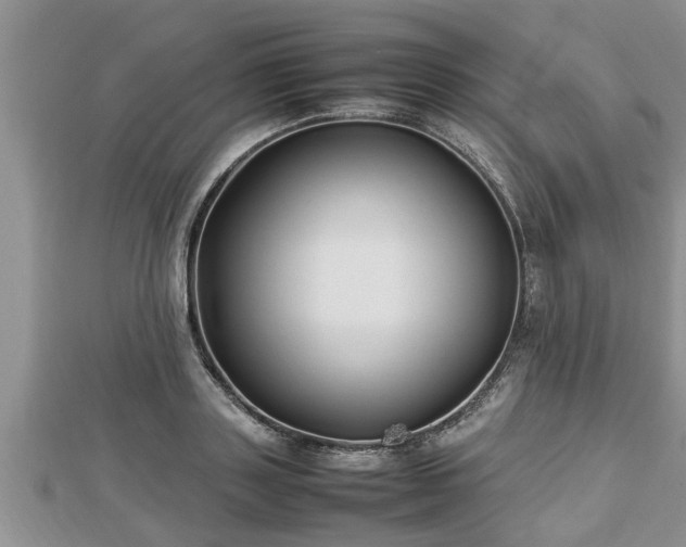 X0000112790843200908281505