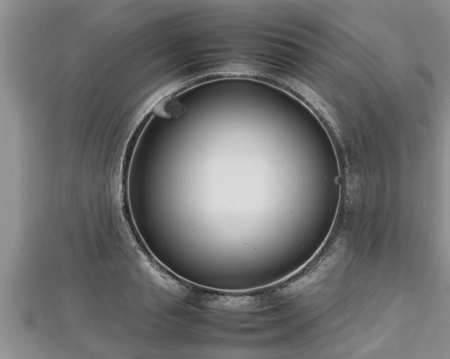 X0000112790845200908281505