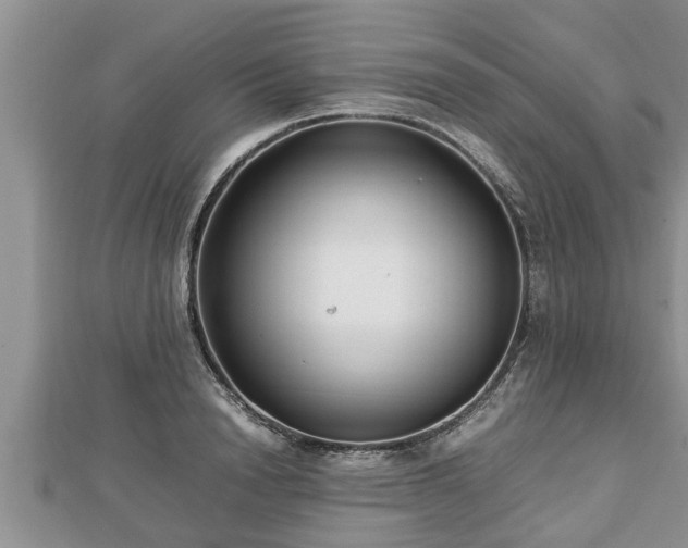 X0000112790846200908281505