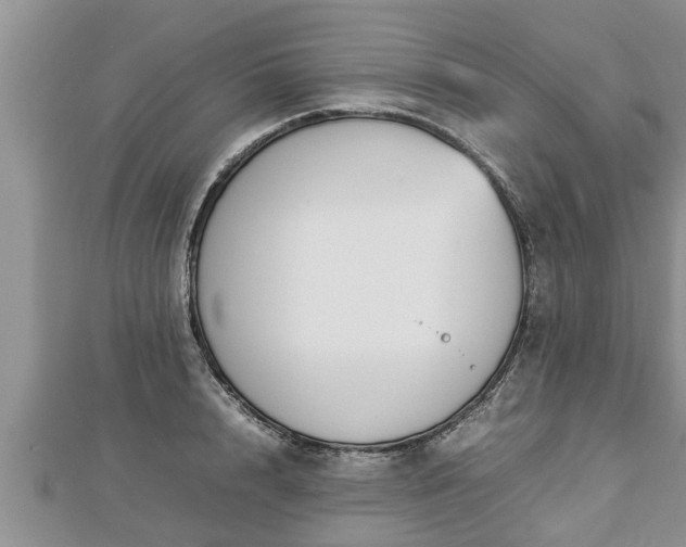 X0000112790848200908281505