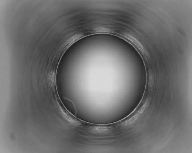 X0000112790849200908281505